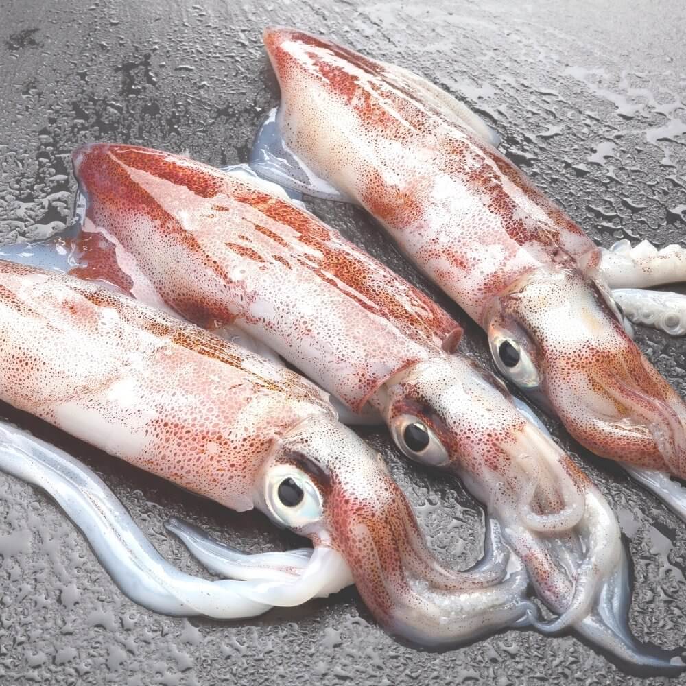 Mhakool Fish