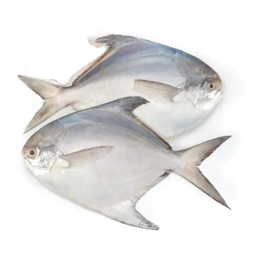Pomfret Fish (Paplet)